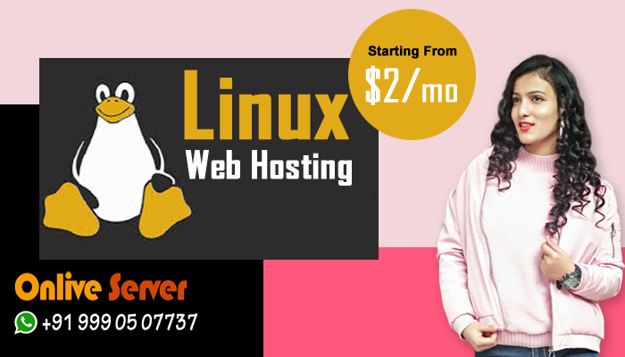 When Should You Choose A Cheap Windows And Linux Web Hosting?